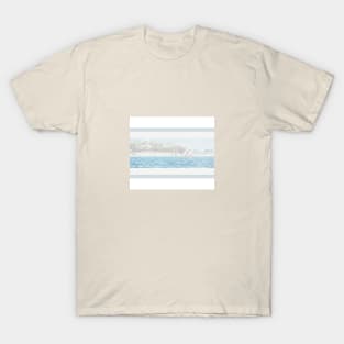 wind in the sails T-Shirt